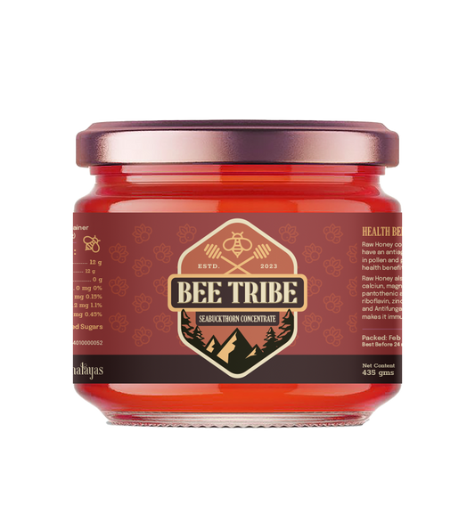 Sea Buckthorn Dry Concentrate